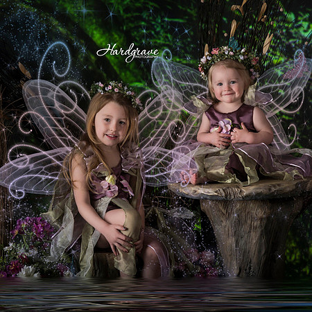 Enchanted Fairies