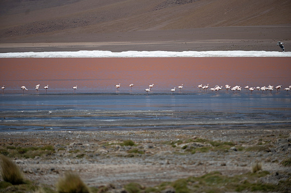 Eduardo Avaroa National Reserve 20230221 2167