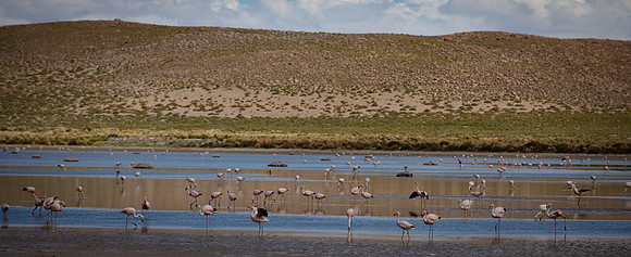 Eduardo Avaroa National Reserve 20230220 1979