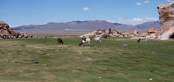 Eduardo Avaroa National Reserve 20230220 2000