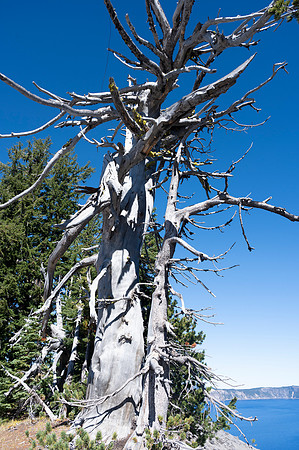 Crater Lake 20231004 223