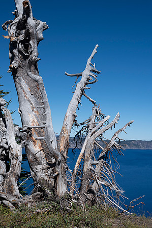 Crater Lake 20231004 243