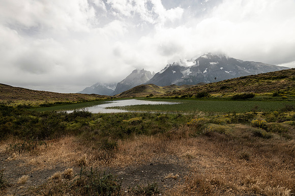 Torres de Paine 20240130 372