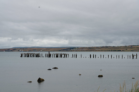 Puerta Natales 20240202 521