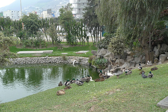P1020775