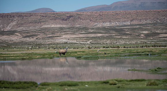 Eduardo Avaroa National Reserve 20230220 2044
