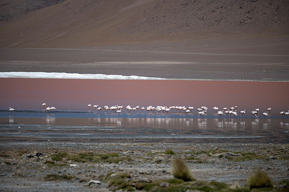Eduardo Avaroa National Reserve 20230221 2174