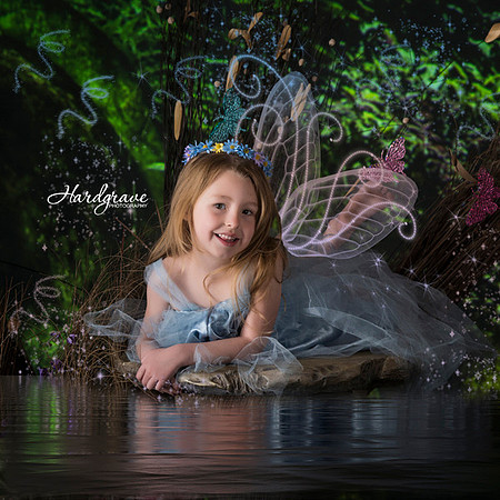 Enchanted Fairies